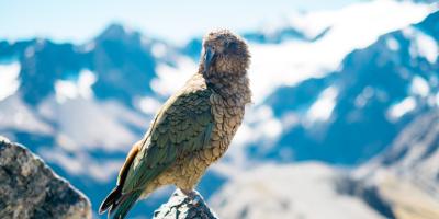 Купля-продажа автомобилей: ваш надёжный партнёр в мире авто!